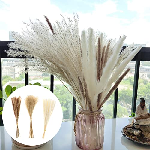 60 Peças de Decoração de Buquê de Flores de Junco de Seca Dos Pampas