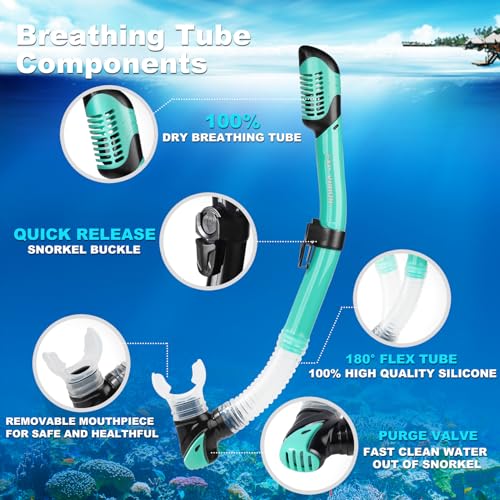 Image of Adult Pano 3 Scuba Diving Mask, Tempered Glass Snorkel Mask Anti-Fog Swim Mask No Leakage Swim Goggles with Nose Cover Snorkeling Gear for Snorkeling, Freediving, Swimming