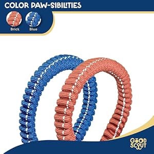 Good Scout 5′ Heavy Duty Bungee Leash for Small Dogs, Durable Walking & Training Leash for Puppies & Adult Dogs, D-Ring for Waste Bag Storage, Blue