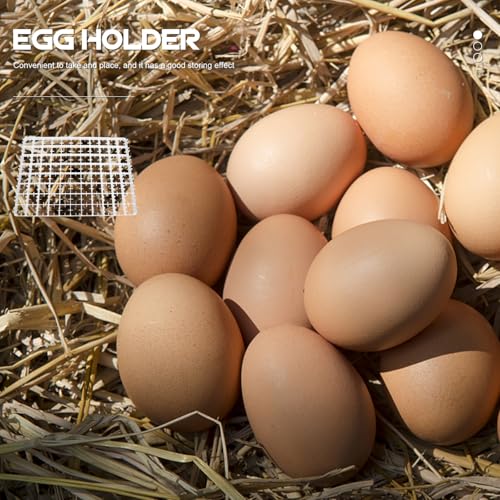 Bandeja para huevos de 88 huecos ideal para despensa doméstica organizada 4