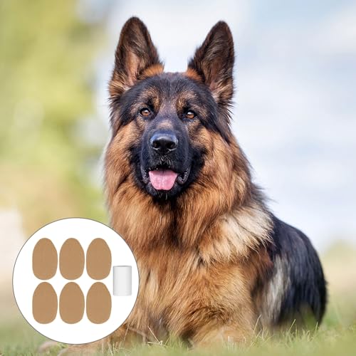 Image of DOITOOL Dog Ear Support Kit with Adhesive Ear Posting Patches for Puppies and Dogs Correction Tool for Natural Suitable for All Breeds and Ages