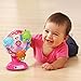 VTech Lil' Critters Spin and Discover Ferris Wheels, Pink