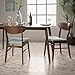 Christopher Knight Home Luscious Fabric/Walnut Finish Dining Chair (Set of 2), Mint