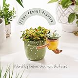 Zoom IMG-1 virtune fioriera verde Zoom IMG-1 virtune fioriera verde