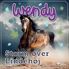 Storm over Lindehøj Audiolibro Por div. arte de portada