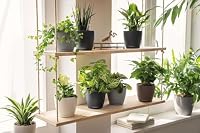 Lechuza-Gefäß mit Bewässerungssystem Classico Color 21 sandbraun – Ansicht 9