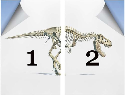 Miniatura 10 de Película de privacidad multicolor para ventana, película esmerilada estática para ventana, fácil de quitar, para la seguridad de la oficina en el