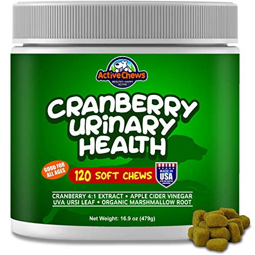 Dog Ate Diaper Crystals on February 2023