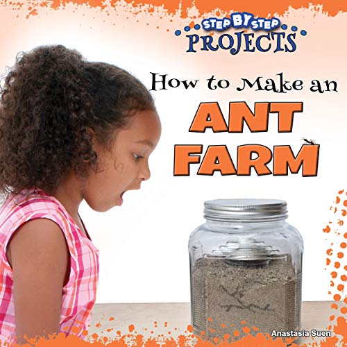 Rourke Educational Media How to Make an Ant Farm (Step-by-Step Projects)