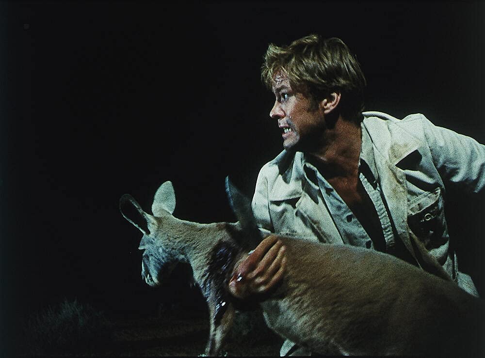 Wake in fright