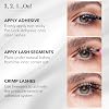 Pro Lash ProWear Starter Lash Clusters Kit - Easiest to Apply Lashes - 10-Day Cluster Eyelash Extensions - 3 Sets of False Eyelashes Plus Adhesive, Remover, Tweezers - Volume Luxe XL No. 12 - Black