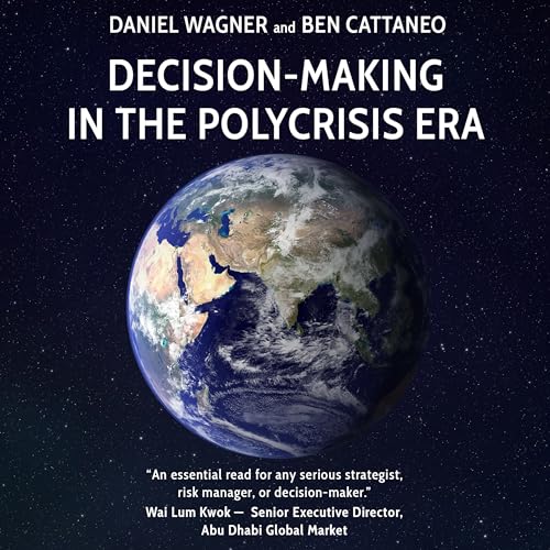 Decision-Making in the Polycrisis Era (English Edition)
