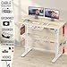 SHW 55 x 28 Inches Electric Height Adjustable Standing Desk with Drawer and Memory Preset, Maple