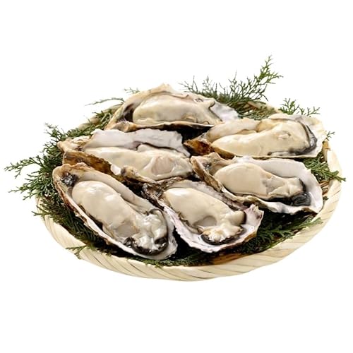 yHz{錧 OY kty 1kg Ⓚ Y ՂZN[~[ C̃~N ICX^[o[