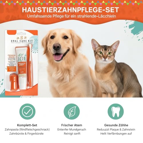 Hunde Zahnpflege Set, Hundezahnpasta gegen Zahnstein und Mundgeruch, für Hund und Katzen Entfernt Plaque und Mundgeruch (orange Farbe)