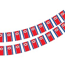 Pandiui23 North Korean Flag 40 Pack Garland 40 Feet Flags National Flag 5.5 x 8.25 Inch Patriotic Party Decoration Indoor Outdoor Rectangle Flag