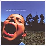 Songs To Scream At The Sun