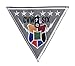 Carrier Air Wing 6 CVW-6 Patch â€“ with Hook and Loop, 4.5