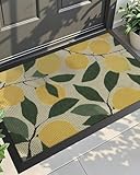 DEXI Front Door Mat Outside Entrance, 23x35 Lemon Welcome Doormat, Non Slip Dirt Resist Heavy Duty Entry Mats for Entryway, Yellow