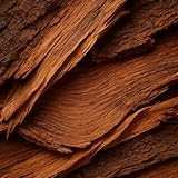 OLGA Car Air Freshener for Men – 8ml Cedarwood Signature Clip-on Diffuser with Wooden Reeds – Long-Lasting Luxury Car Scent with Real Cedarwood – Elegant, Natural and Strong – Up to 30 Days - Image 7