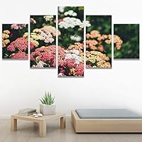 SIGNWIN 5 Panel Canvas Wall Art Assorted Fields for Home Decorations Ready to Hang - 60