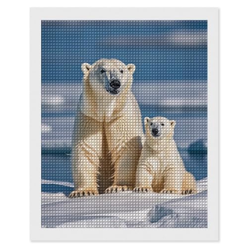 Kit peinture diamant complet anti-stress ours polaires strass carrés sans espace vide