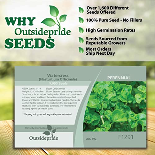 Outsidepride Perennial Nasturtium Officinale Watercress Culinary & Medicinal Herb Garden Plant - 5000 Seeds #TOP5