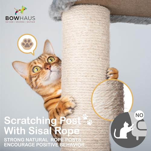 Image of BOWHAUS Tall Cat Tree for Indoor Large Cats or Kittens, Multi-Level Cat Activity Tree with Scratching Posts, Hammock, Cat Cave Condo, Modern Cute Small Cat Climbing Tower with Widened Perch