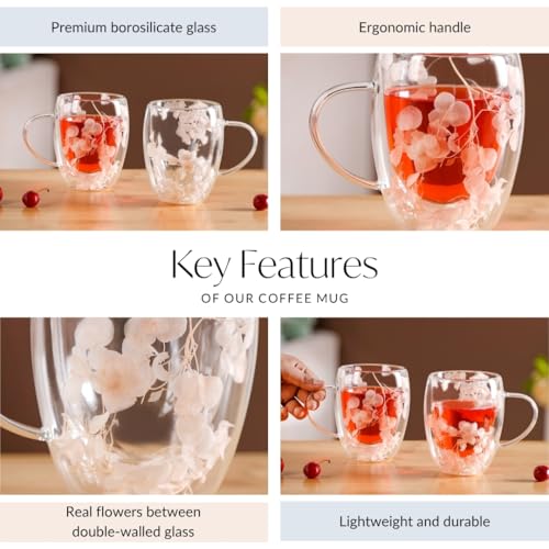 Image of Nestasia Double Wall Glass Mug with Dried Flowers Set of 2 (350ml Each) - Transparent Borosilicate Floral Glass Tea Cups | Lightweight & Durable Coffee Mugs - Perfect for Gifting (Peach)