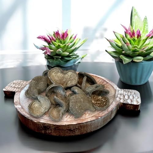 Whitewash Color with Textured Finish (Whitewashed on Brown)