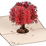 Red Maple Tree by DEVINE Popup Cards | Happy Wedding Anniversary Card for Wife Husband Mom | 3D Mothers Day Card | Pop Up Birthday Card for Women | Romantic Love Gifts