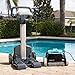 Dolphin Nautilus CC Automatic Robotic Pool Vacuum Cleaner, Always Cleaning, Never Charging, Includes Caddy for Easy Transport and Storage, Ideal for In-Ground Pools up to 33 FT in Length