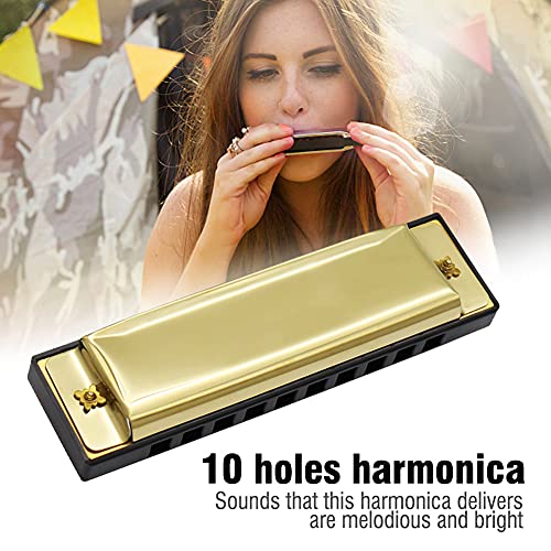 Harmonica en Métal Durable,Facile À Transporter Conception Humanisée 10 Trous Harmonica Harmonica Instruments de Musique… - Les Beatles, Paul McCartney, John Lennon, RIngo Starr, George Harrison Harmonica en Métal Durable,Facile À Transporter Conception Humanisée 10 Trous Harmonica Harmonica Instruments de Musique… – Image 3