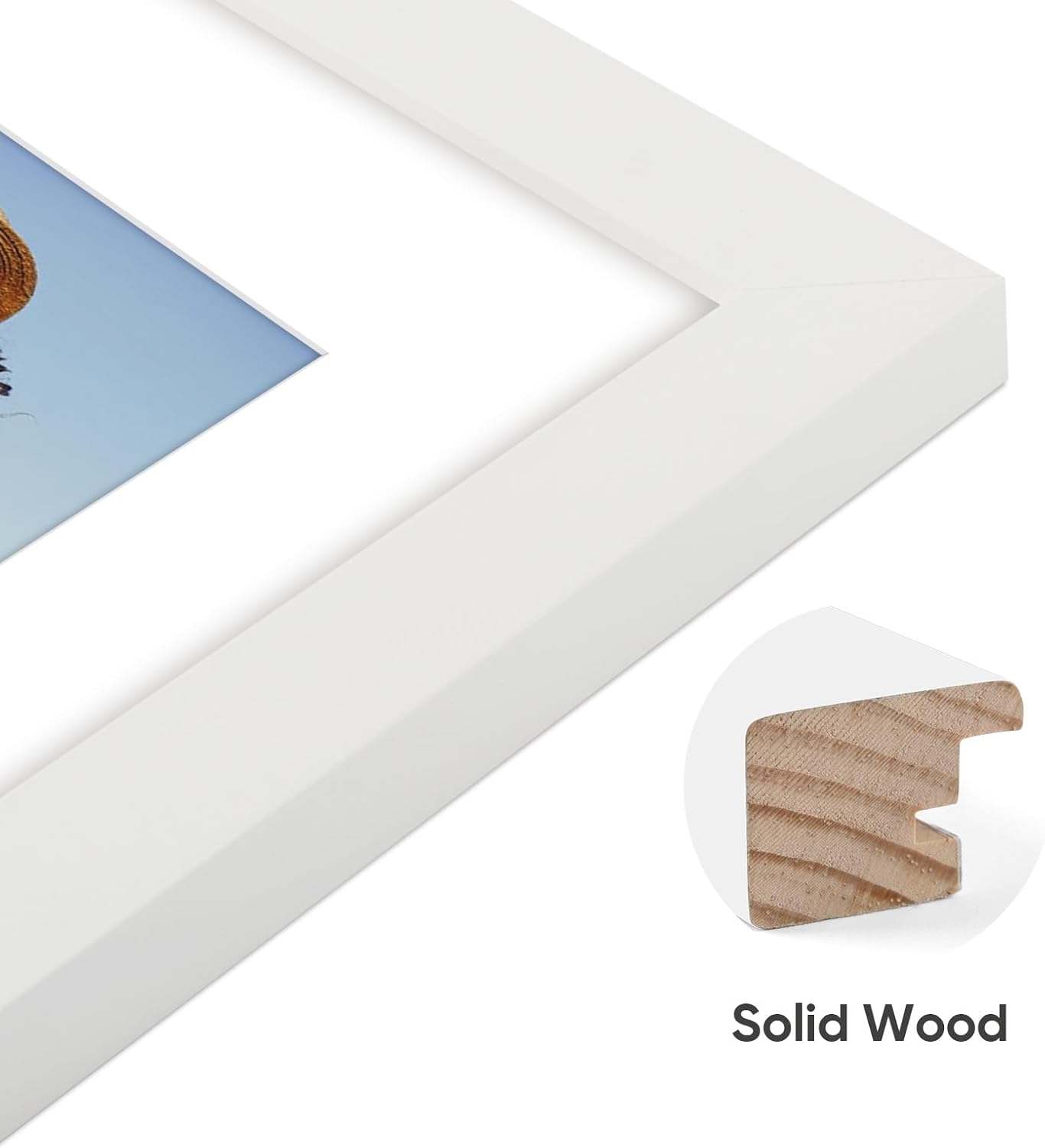 Golden State Art, Set of 2 White Photo Wood Frame 11x14 with Real Glass Mat for 8x10 Picture