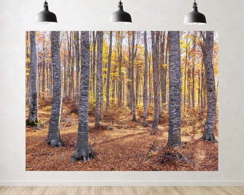 Trykid 5x3ft Autumn Beech Forest Backdrop Golden Foliage Tall Tree Ground Leaves Photography Background Outdoor Gathering Nature Event Party Decoration Tapestry Photo Booth Prop Fabric