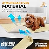 SympaTierisch wasserdichte Hundedecke - Robuste Hundematte als Schutz für Sofa & Bett - rutschfeste Hundedecke auch für große Hunde geeignet - in der Waschmaschine waschbar - 130 x 100 cm - gelb
