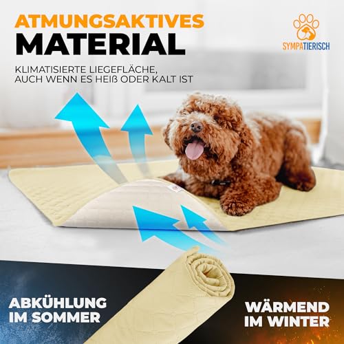 SympaTierisch wasserdichte Hundedecke - Robuste Hundematte als Schutz für Sofa & Bett - rutschfeste Hundedecke auch für große Hunde geeignet - in der Waschmaschine waschbar - 130 x 100 cm - gelb