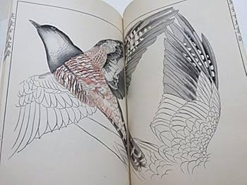 竹内栖鳳画伯　芸艸堂発行書籍　旅寿々里　全50枚完揃い　桐箱タトウ解説書付属美品 Amazon.co.jp: 大正期 英章百鳥画譜 4冊揃い 土田英章（筆
