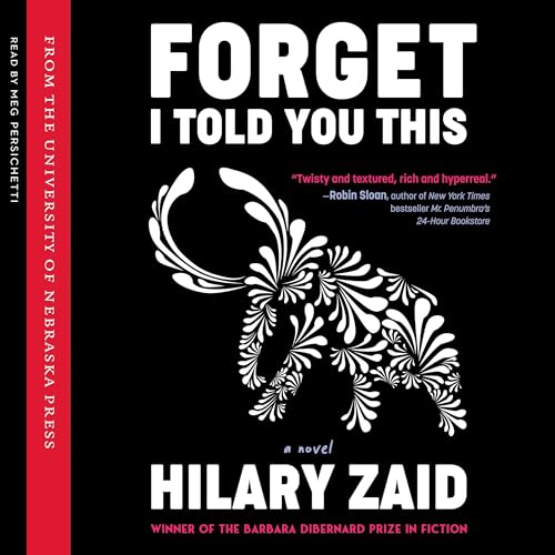 Forget I Told You This: A Novel | Hilary Zaid episode artwork