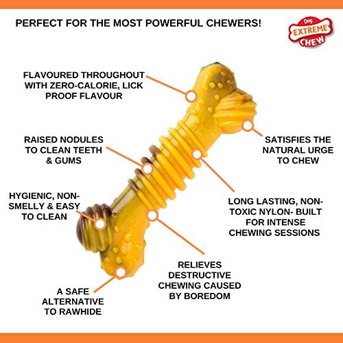 Nylabone Extreme Tough Dog Chew Toy Bone, Durable, Cleans Teeth, Beef & Cheese, Medium, for Dogs Up to 16 kg