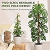 4 Pack Moss Pole Monstera Plant Support, 2 Pack 28" & 2 Pack 48" Bendable Plant Stakes Made of Real Coco Coir Support for Climbing Indoor Plants, Tall Moss Stick Trellis for Potted Climbers #2