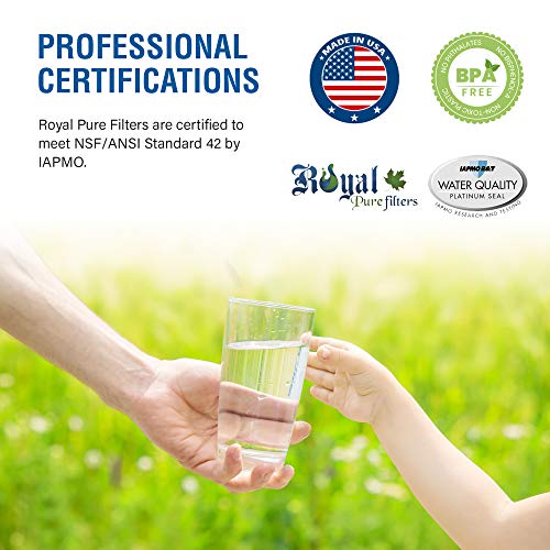 Royal Pure Rpf-Mwf Replacement Water Filter For Ge Mwf, Wf287, 46-9991,Eff-6013A,46-9905 (1Pack) Made In Usa #TOP5