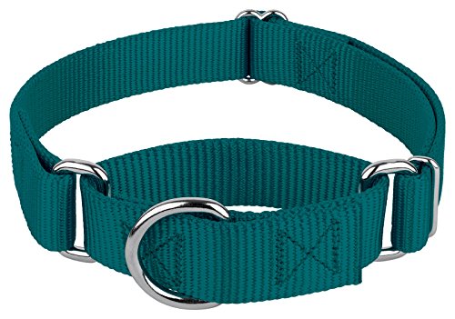 Country Brook Petz - Martingale Dog Collar - Heavy-Duty Training Collar with No Buckle - Service Dog...