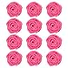 Confect Hot Pink Edible Roses – 12 Pack for Cake & Cupcake Decorating – Vegan, Gluten-Free Floral Toppers for Desserts, Nut-Free & Dairy-Free