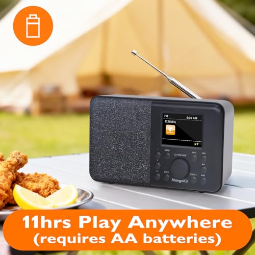 Image of SR10 WiFi Internet Radio, Podcast Player, Bluetooth Speaker, Portable FM Radio, Color Display,Dual Alarms, Presets,Application Control Support-Black