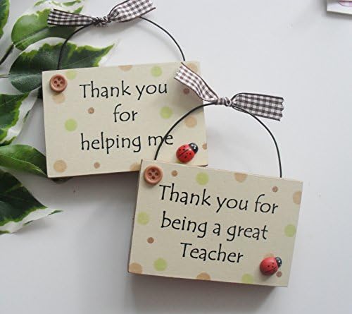 Thank you Teacher and thank you for helping me Teaching Assistant twin pack gift plaques