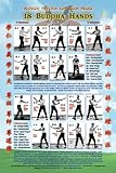 18 Buddha Hands - Wall Chart - Master Gin Foon Mark Southern Praying Mantis