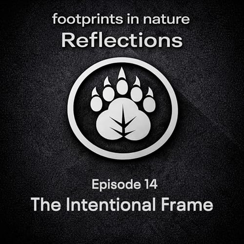 14 - The Intentional Frame: Finding Mindfulness in Nature Photography