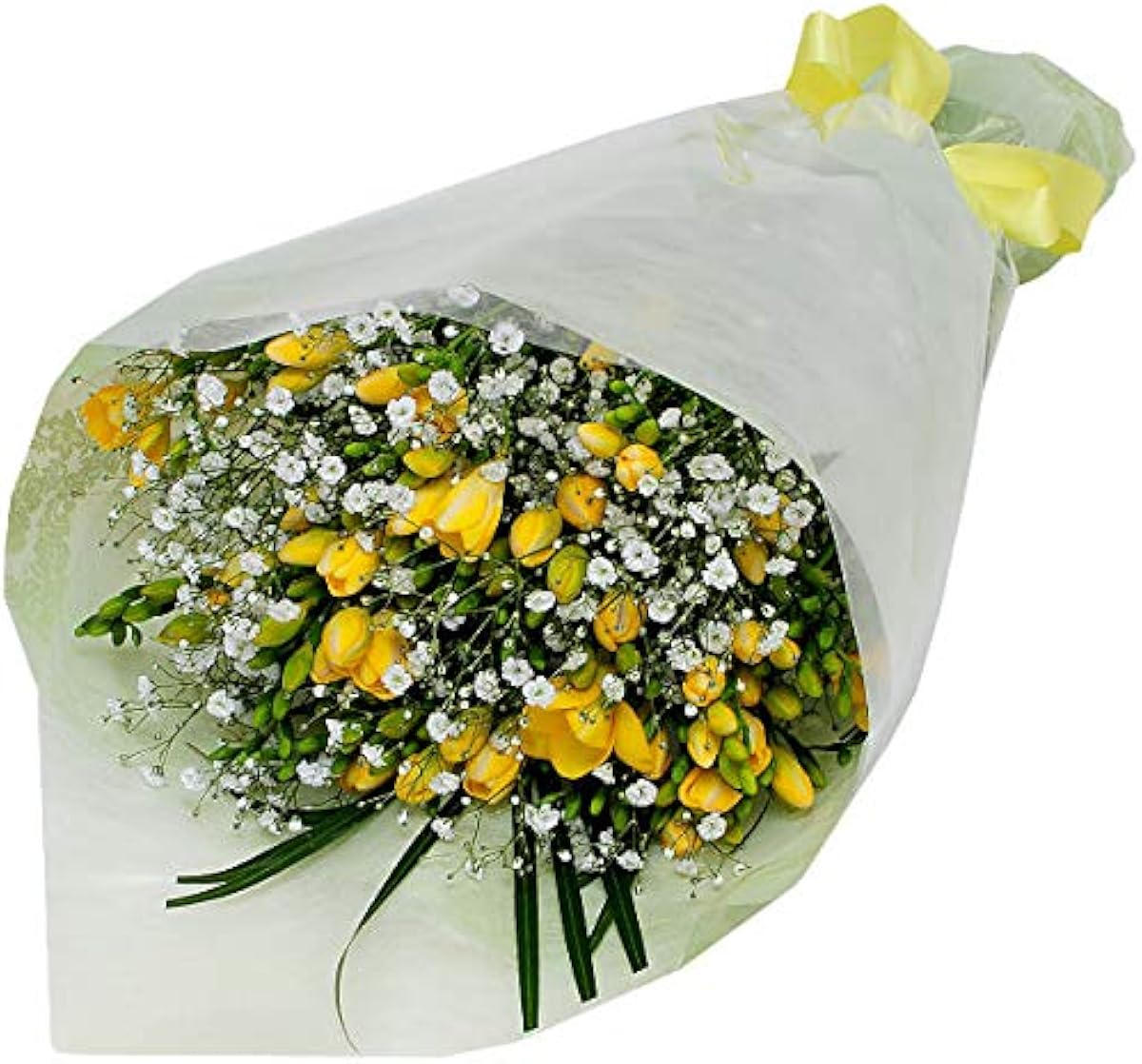 送料無用 花工房フラワーギフト フリージアの花束 3lサイズ フリージアとカスミ草の花束 ホワイトデー 花 ギフト お返し プレゼント 花束 オンライン通販 東京 正規 店 Www Sabitou Org