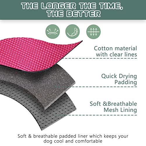 Bumbin Tactical Dog Harness For Medium Dogs No Pull, Famous Tik Tok No Pull Puppy Harness, Fit Smart Reflective Pet Walking Harness For Training, Adjustable Dog Vest Harness With Handle Pink M #TOP5